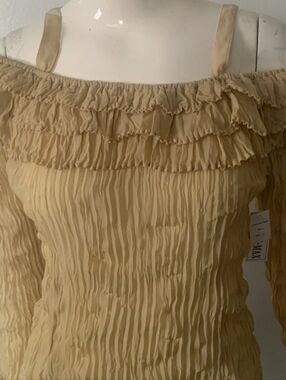 Kaeylyn Max II Off-Shoulder Ruffle Bohemian Sheer Top (Khaki/Tan)